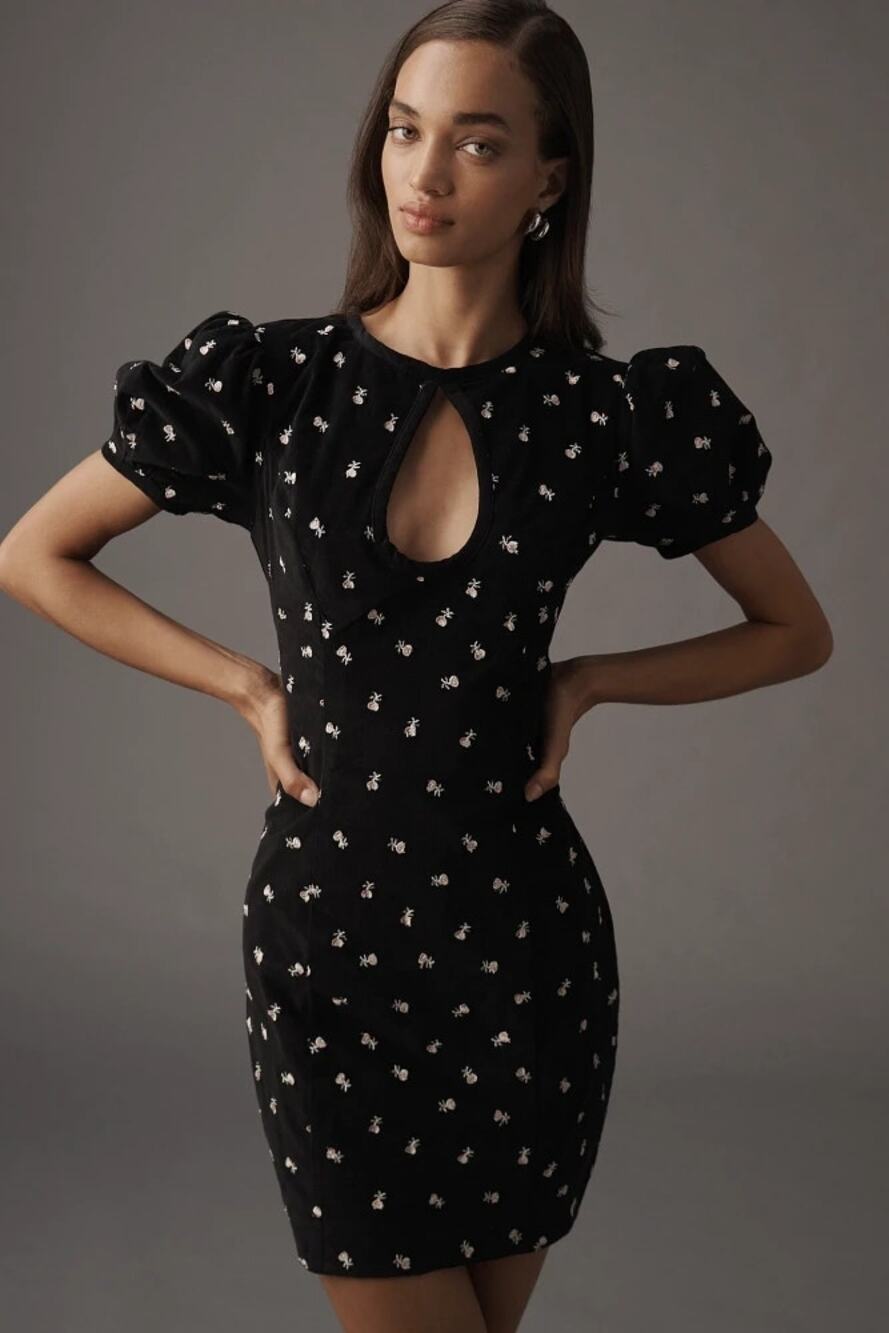 NWT Anthropologie Maeve Puff-Sleeve Keyhole Embroidered Mini Dress $178 Sz 6